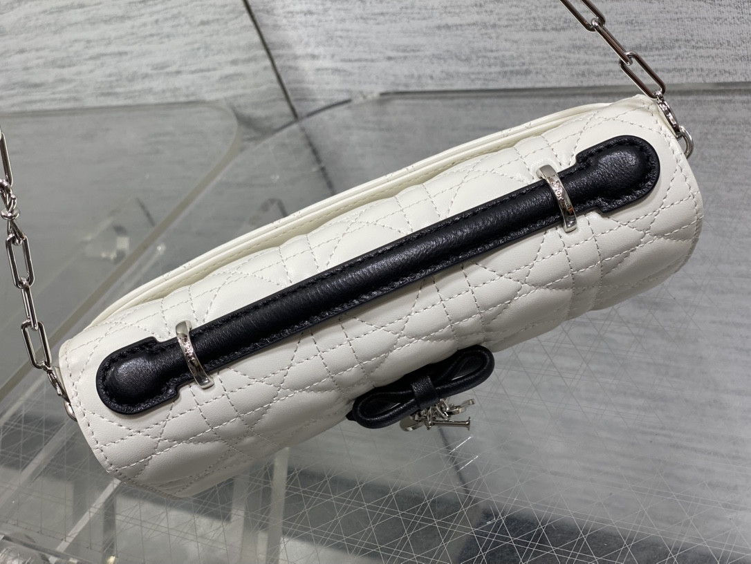 my D10r mini bag 21x11.5x4.5cm