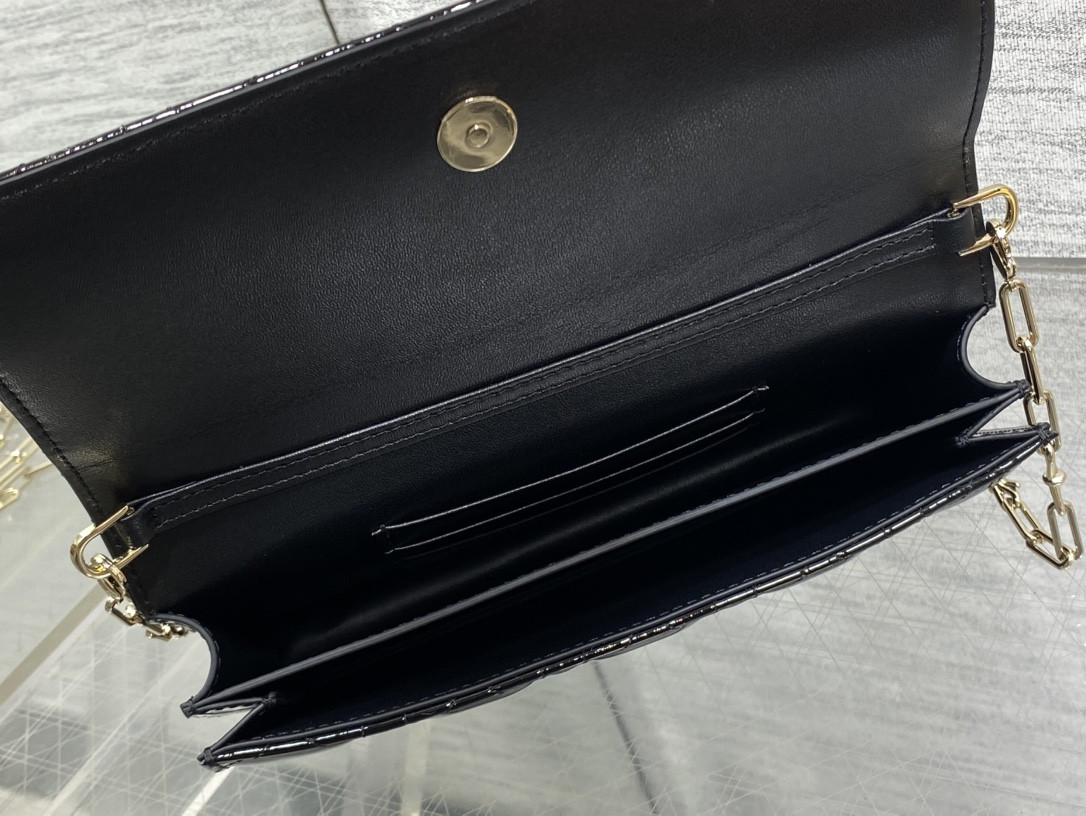 my D10r mini bag 21x11.5x4.5cm