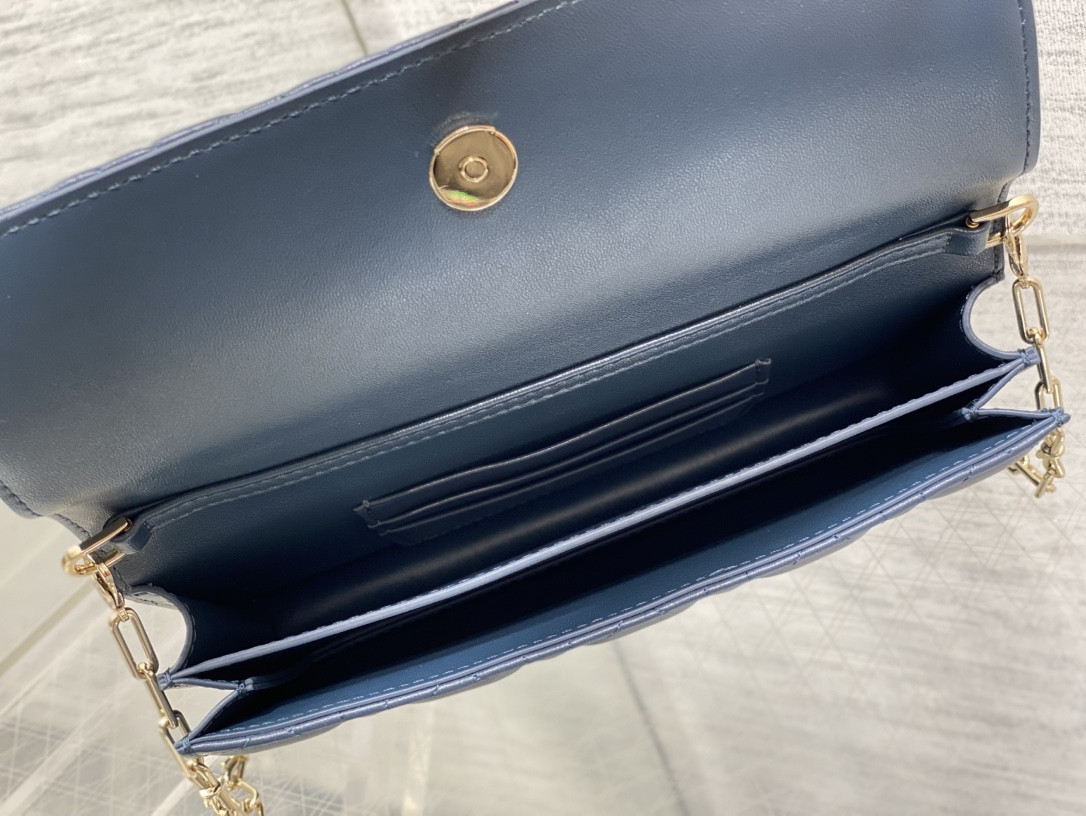 my D10r mini bag 21x11.5x4.5cm