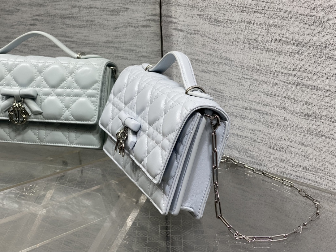 my D10r mini bag 21x11.5x4.5cm