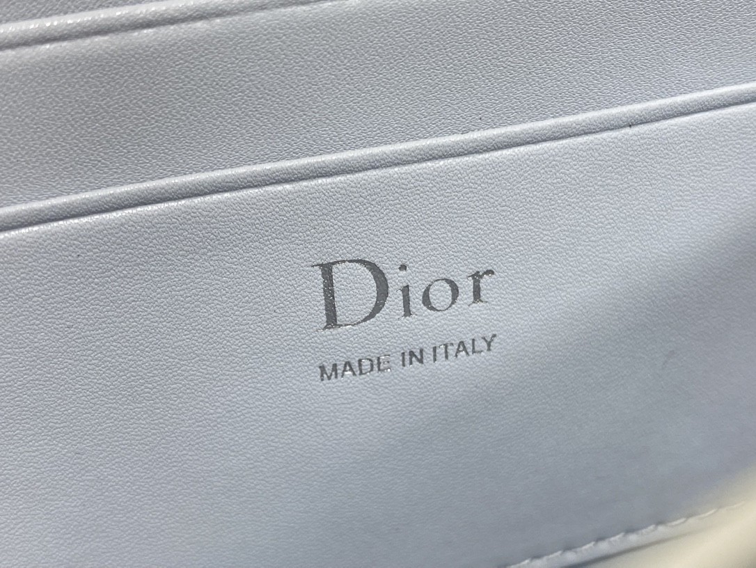 my D10r mini bag 21x11.5x4.5cm